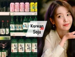 Apa Itu Soju? Apa Sejarah Minuman Soju? Yuk Simak!!