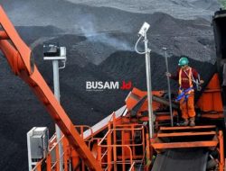 Alasan Erick Thohir Mau Membubarkan PLN Batu Bara