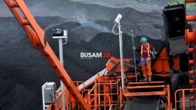 Alasan Erick Thohir Mau Membubarkan PLN Batu Bara