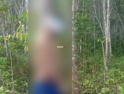 Pria Supel Asal Loa Duri Gantung Diri di Pohon Karet