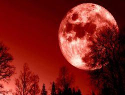 Hanya Bisa Disaksikan Via Online, Ada Gerhana “Bulan Berdarah” Pekan Ini