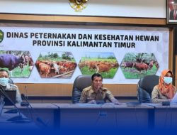Cegah Penyakit Mulut dan Kuku Ternak, DPKH Gelar Rakor Kesiagaan