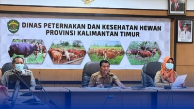 Cegah Penyakit Mulut dan Kuku Ternak, DPKH Gelar Rakor Kesiagaan