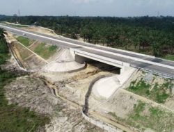 Terowongan Alternatif Perlintasan Satwa di IKN