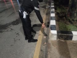 Lepas Kontrol Dan Tabrak Median Jalan, 1 Orang Tewas Dan 1 Orang Kritis