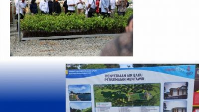 Kunjungi Persemaian Mentawir, Presiden Jokowi Inginkan Rehabilitasi Hutan