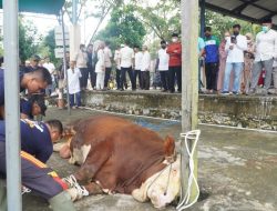 Polda Kaltim Bagikan Hewan Kurban Ke Ponpes, Masjid dan Panti Asuhan