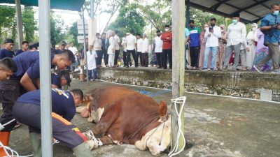 Polda Kaltim Bagikan Hewan Kurban Ke Ponpes, Masjid dan Panti Asuhan