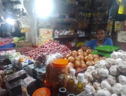 Pasokan Mulai Lancar, Harga Bawang Merah Di Balikpapan Kini Rp 50 Ribu
