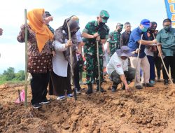 Perkuat Ketahanan Pangan, Kodam VI/Mlw Gelar Pelatihan Tanaman Sorgum