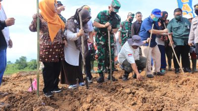 Perkuat Ketahanan Pangan, Kodam VI/Mlw Gelar Pelatihan Tanaman Sorgum