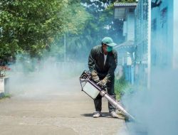 Cegah Penyebaran DBD, Masyarakat Diminta Proaktif Jaga Kebersihan Lingkungan