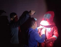 Dianggap Meresahkan, Petugas Disdamkar Evakuasi Sarang Tawon