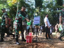 Kodam VI/Mlw Laksanakan Reboisasi dan Reklamasi Bekas Tambang Di Tahura