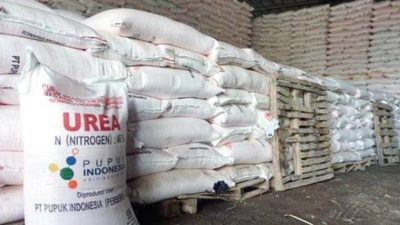 Ribuan Petani Di Balikpapan Terdampak Pembatasan Pupuk Bersubsidi