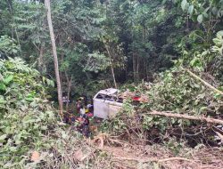 Tak Kuat Menanjak, Bus Pembawa Atlet Asal PPU Masuk Jurang di Hutan Kelay Berau