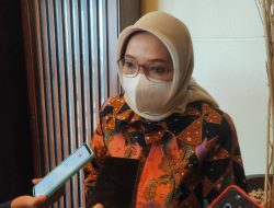 Bahan Logistik Untuk Konstruksi IKN Dipasok Dari Sulawesi 