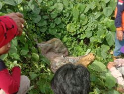 Pemulung Hilang Di Gunung Sampah Samarinda Ditemukan Meninggal Dengan Mulut Tersumpal Kain