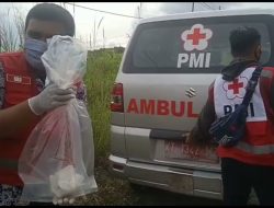 Polisi Pastikan Gumpalan Daging Yang Ditemukan Di Samarinda Seberang Adalah Janin Hewan