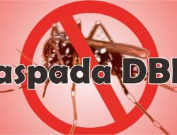 Laporan 2022: 39 Orang Meninggal Karena Kasus DBD