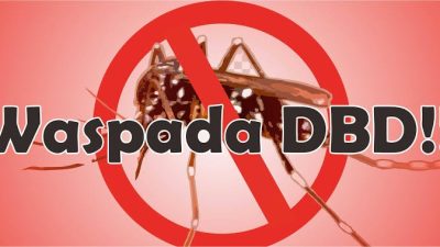 Laporan 2022: 39 Orang Meninggal Karena Kasus DBD