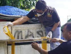 Satu Ton Daging Babi Asal Palu Ditolak Masuk Ke Balikpapan