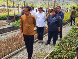 Presiden dan Ibu Negara Tinjau Persemaian Mentawir