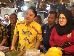 Wamendag Temukan Harga Minyakita Masih Tinggi