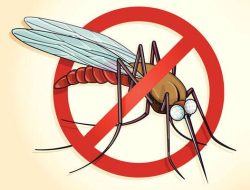 Kasus Malaria Di Kaltim Alami Peningkatan, PPU Daerah Dengan Potensi Penyebaran Tertinggi