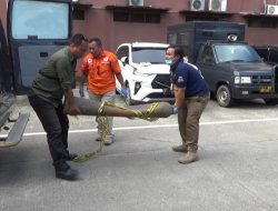 Korban Ledakan Gudang Pengisian Oksigen Tiga Orang, Satu Diantaranya Luka Parah