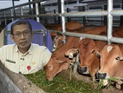 Stok Daging-Telur Dipastikan Aman Jelang Lebaran 2023