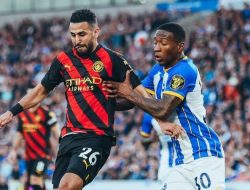 Man City Ditahan Imbang Brighton
