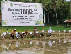 Gerakan Tanam 1000 Hektar Diluncurkan untuk Mengatasi Dampak El Nino di Kaltim