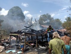 Satu Sekolah di Tumbit Dayak Hangus Terbakar