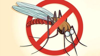Positif Malaria Capai 1.504, Pemprov Kaltim Terus Upayakan Pemberantasan