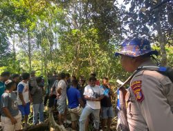 Sedang BAB, Seorang Warga di Berau Meninggal Diterkam Buaya
