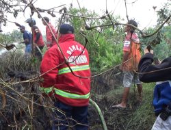 Kebakaran Lahan di Mugirejo Diduga Sengaja untuk Buka Lahan