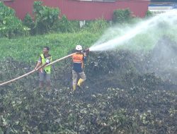 Kebakaran Lahan 6 Kali Terjadi Akibat Faktor Manusia, BPBD Imbau Warga Tidak Buka Lahan dengan Dibakar