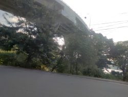 Tak Terawat, Pemkot akan Buat Landscape di Bawah Jembatan Mahakam Kembar