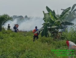 BPBD Kutim Lakukan Pemadaman Kebakaran Lahan