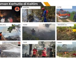 BPBD Kaltim Target Status Siaga Darurat di 9 Kabupaten dan Kota Berakhir