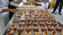 IMG-20231108-WA0027(1)