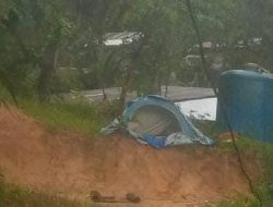 Haru, Anak 13 Tahun Hidup Sebatang Kara di Tengah Kebun di Samarinda