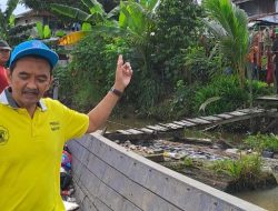 Kepala DLH Samarinda Kecam Aksi Pencurian Tanaman Bunga di Median