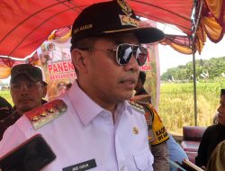 AH Yakinkan Beras Cukup, Masyarakat Diminta Jangan Panik