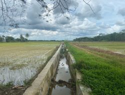Pastikan Pasokan Air Tetap Lancar Petani Desa Sebulu Ulu Lakukan Perbaikan Irigasi