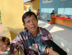 Bangun Kemitraan, Manfaatkan Lahan Eks Tambang Untuk Peternakan Sapi