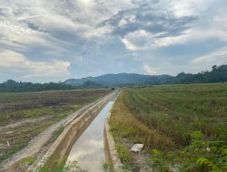 Optimalkan Irigasi, Embung Jadi Penopang Hortikultura Desa Perjiwa