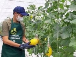 Distanak Kukar Siapkan Program Pertanian Bagi Petani Milenial