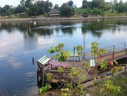 Hidupkan Bendungan yang Terbengkalai, Distanak Kukar Optimalkan Potensi Pertanian di Tabang